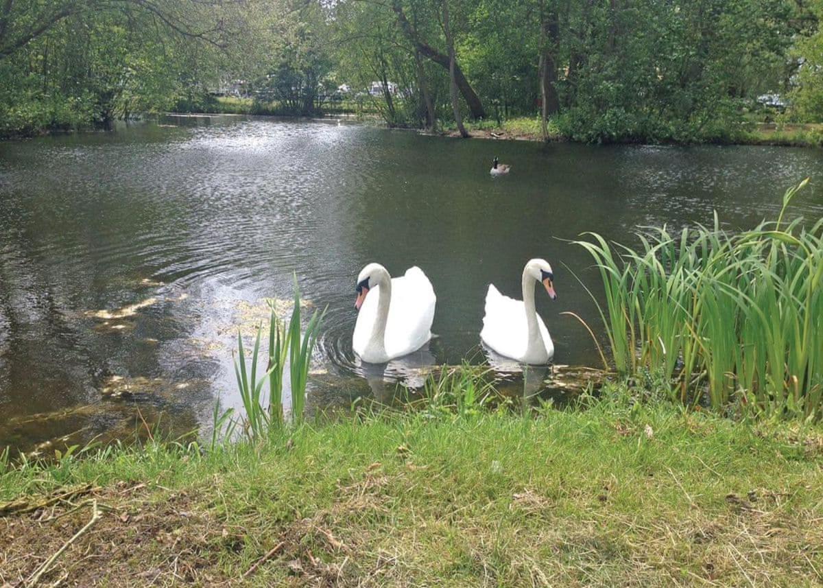 Barlings Country Park Hotel Langworth Екстериор снимка